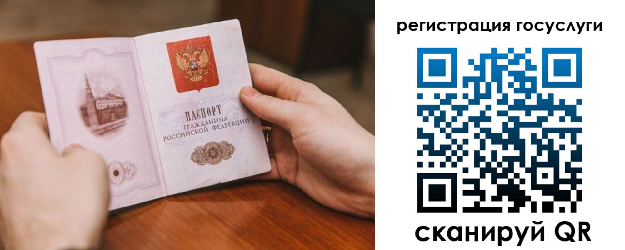прописка поиск в Балашове